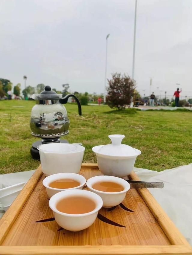 迎春绘春赏春种春