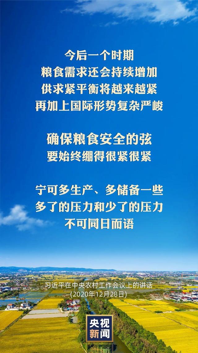 习近平：以国内稳产保供的确定性来应对外部环境的不确定性