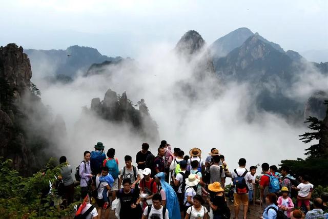 迎客松无客可迎 黄山旅游业遭重创