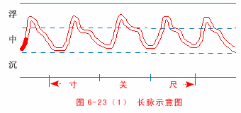 「中医二十八脉」中医二十八脉分脉脉歌及全部脉象动态图