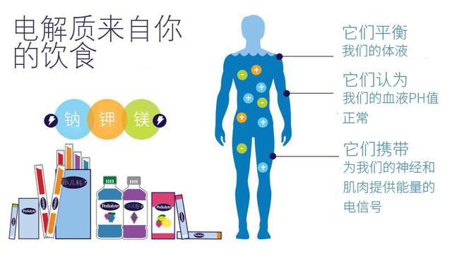 低碳生酮饮食会缺乏电解质吗需要补充哪些电解质如何补充