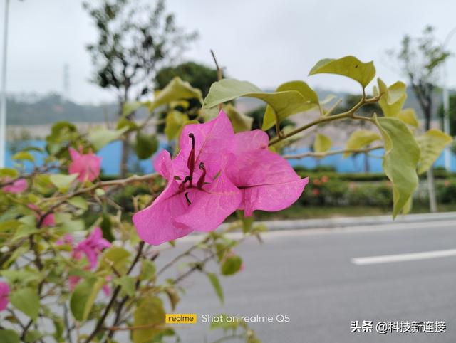 Realme真我Q5开箱评测：2022年入门级5G续航王手机