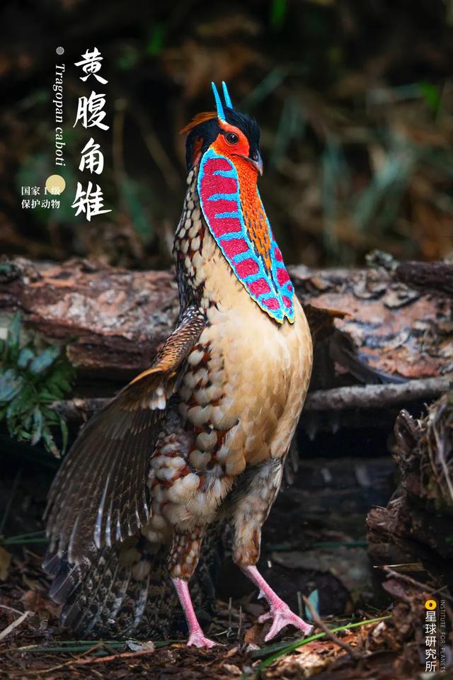 黄石洗砂机哪家便宜