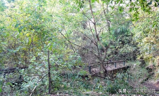 合肥水泥机械展