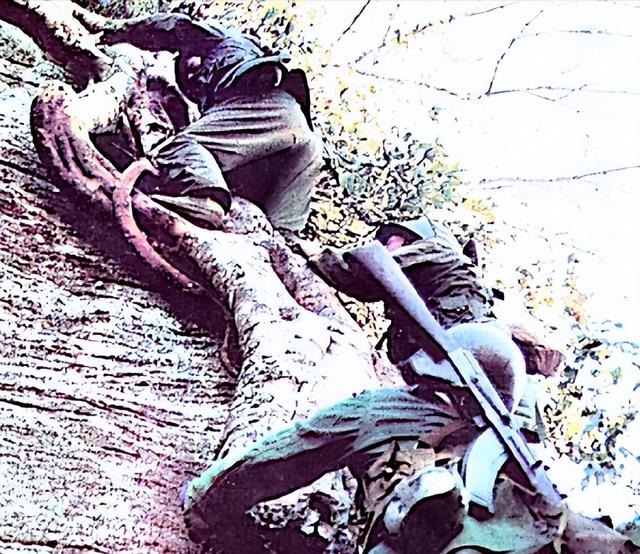 84年，我军干部在前线被越军特种兵军截杀，以1敌4身中十多刀牺牲