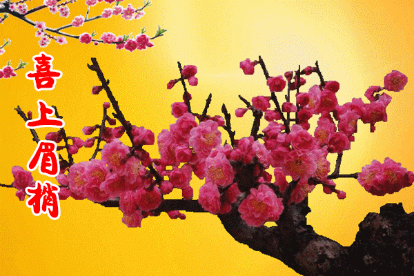 今日立春 春暖花开喜上眉梢图