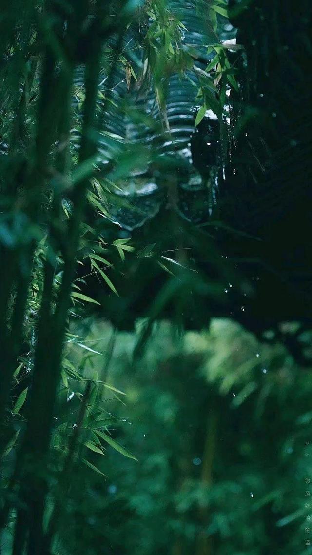 初夏的细雨
