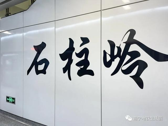 朋云路(金凯路-朋展路)工程