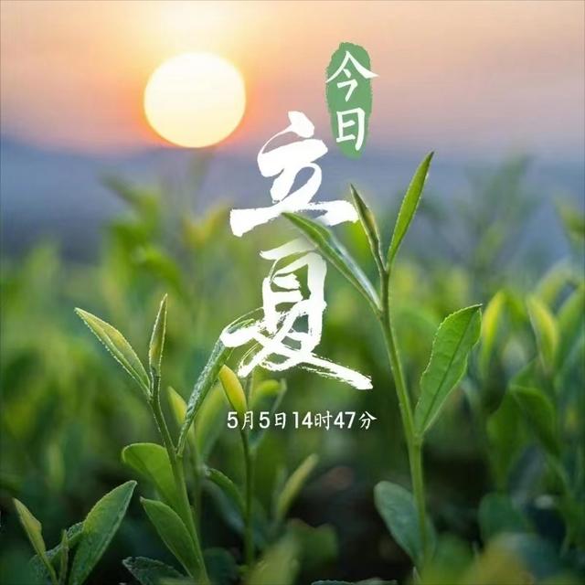 文案丨关于立夏的优美句子摘抄丨优质文案