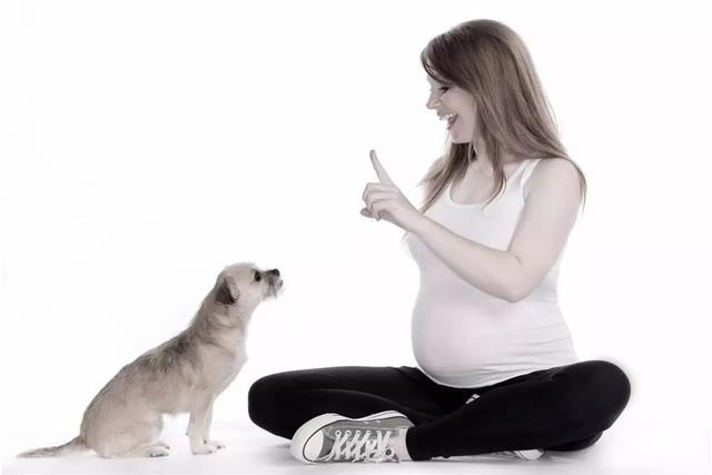 孕期养宠物需注意什么（孕期能养宠物吗）(8)