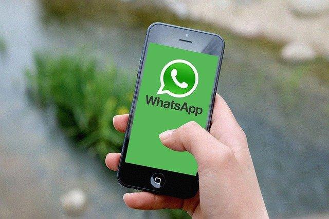 如何知道是否有人在WhatsApp上屏蔽了你？插图
