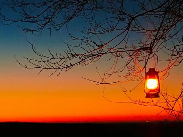 生命观才是养育最好的力量