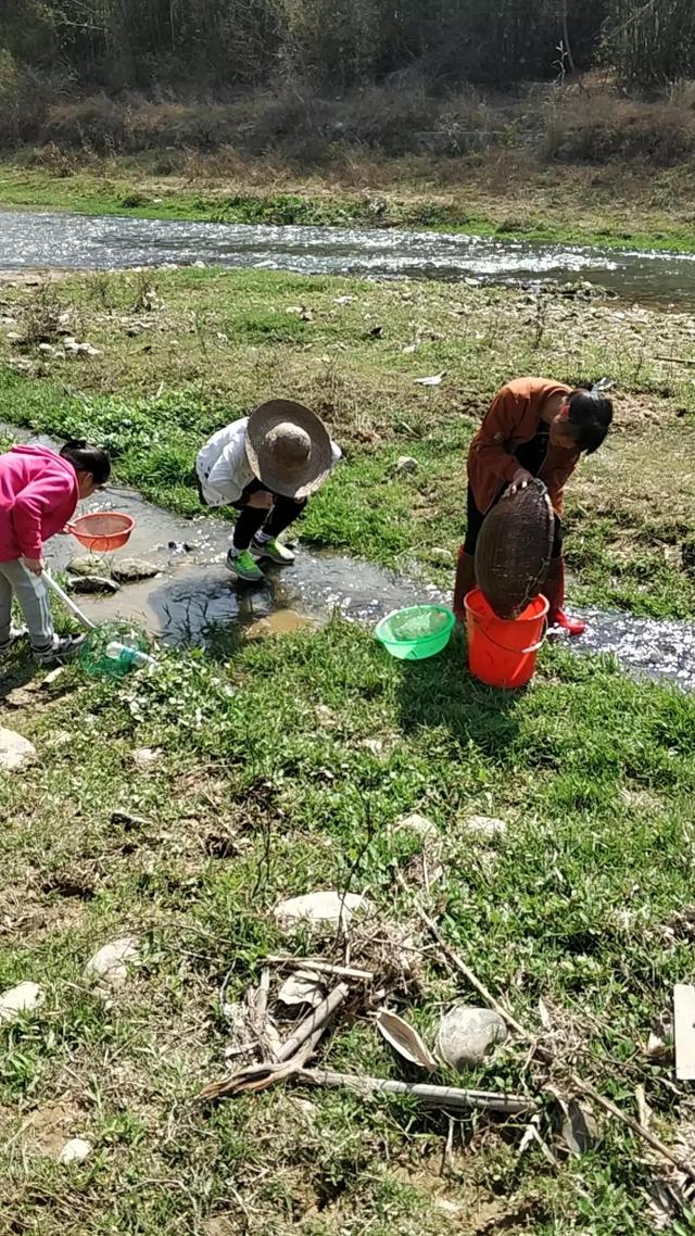 今天是一年24节气的谷雨喔