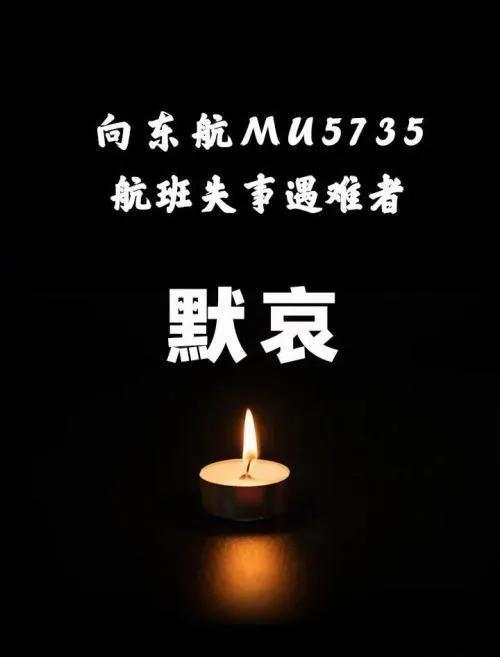七律·悼3.21东航客机遇难同胞