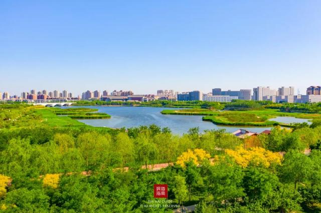 靜湖湖岸公園位置:天津市濱海新區靜湖南路印象海堤公園印象海堤公園