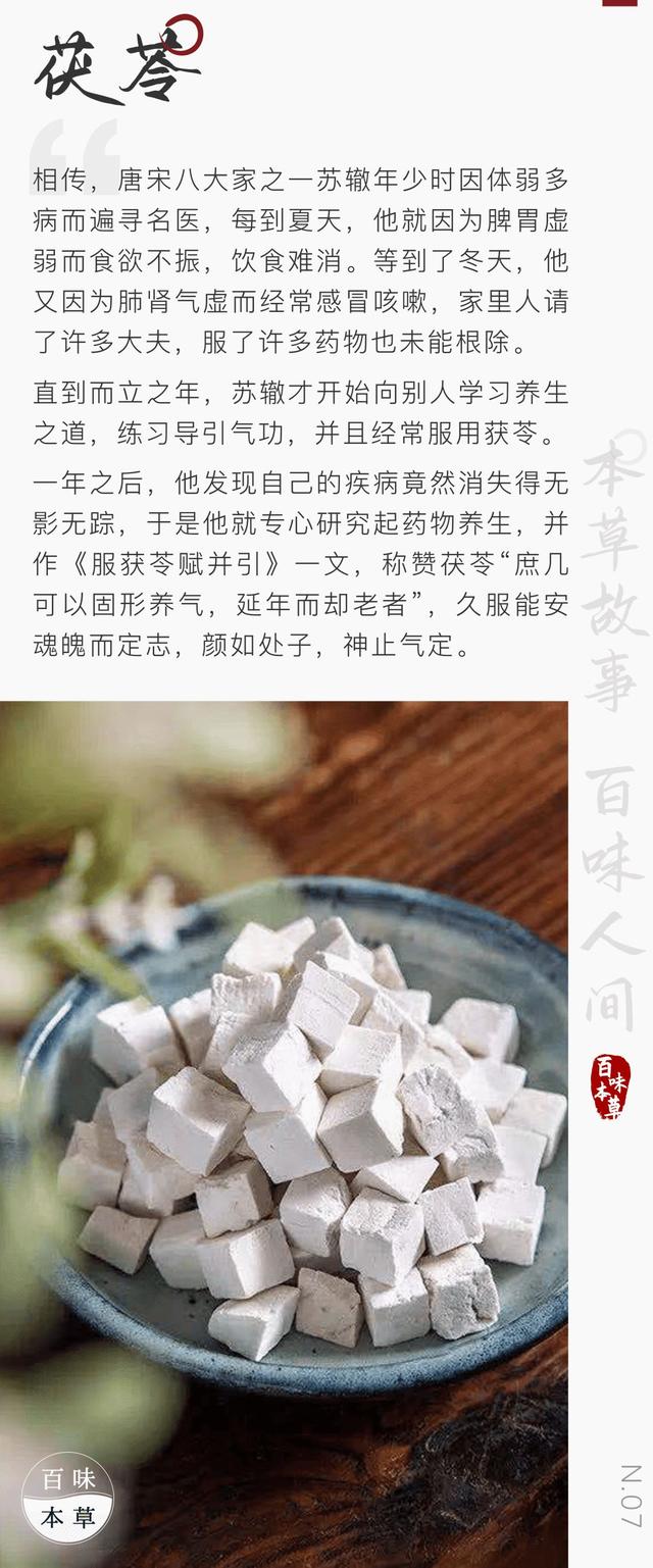 百味本草｜千年茯苓，为什么苏辙和慈禧太后都爱它？