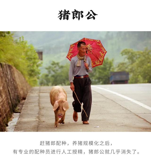 建筑用砂制砂机厂家难找吗