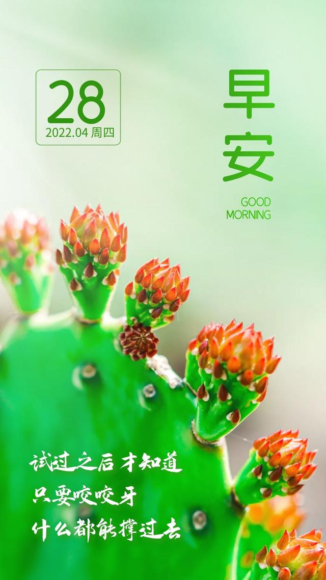 早安心语正能量图片文字，只有拼搏，才会获得辉煌的成功