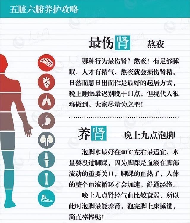 五脏六腑养护攻略一览表，十分实用，值得收藏