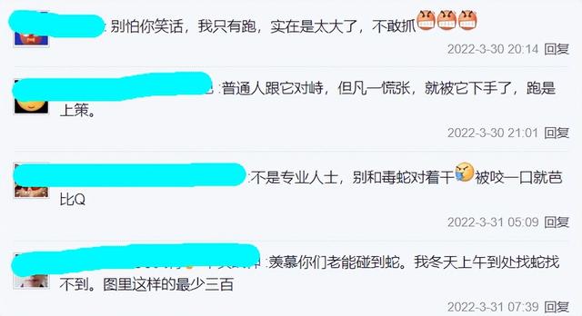 惠州钓友夜钓回家，竟与一条眼镜蛇一路同行，钓友：头就在我脚边