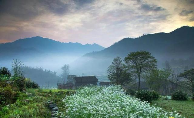 风催尘香花又开