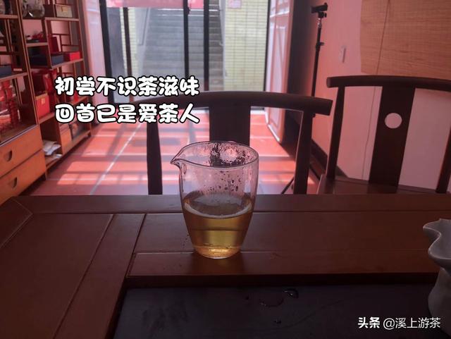 什么茶适合长期喝
