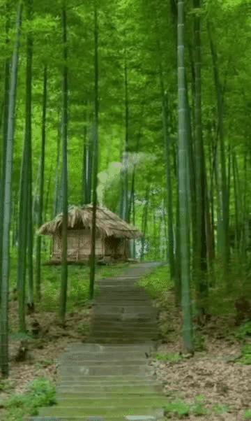 守住心底那份清静
