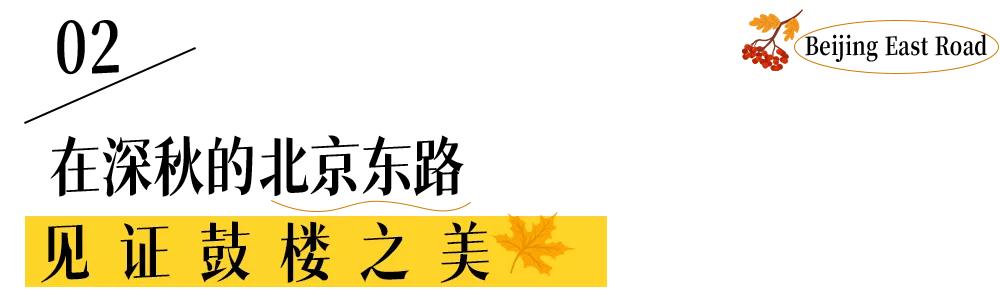 北京東路，喜提秋天