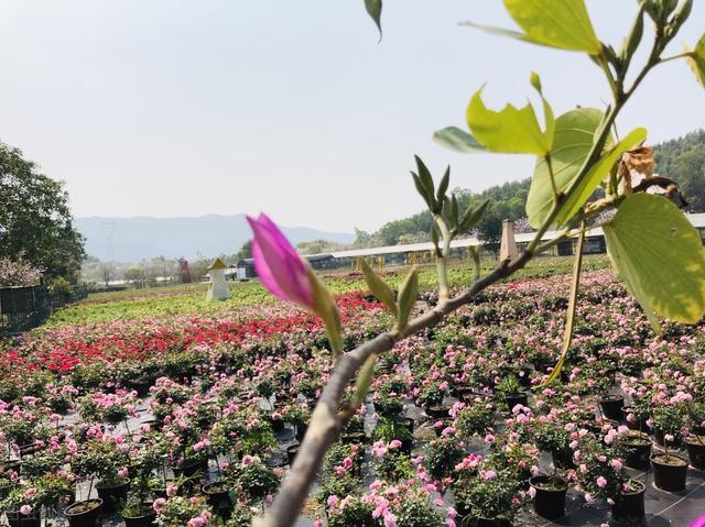 70岁以上的老人，每天最重要的事情是什么？