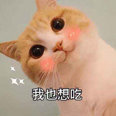 都说四神汤健脾养胃，为什么我吃了便秘？