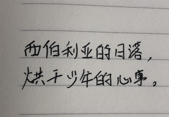 抄书打卡第三天