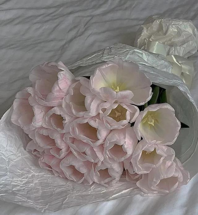 花是蓬勃的期许，是生命的礼遇，是春天的信使