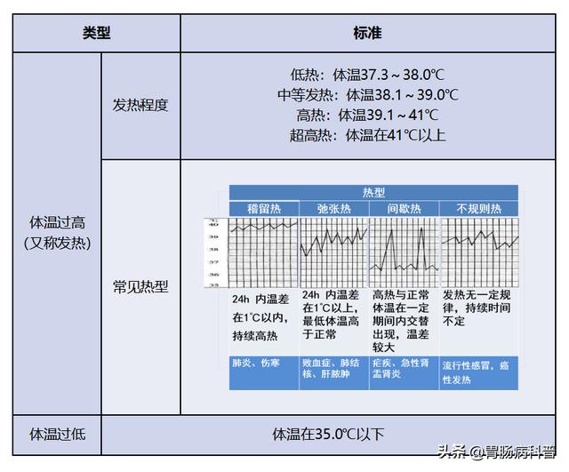 安倍今天遇刺, 当时已无生命体征——什么是生命体征?