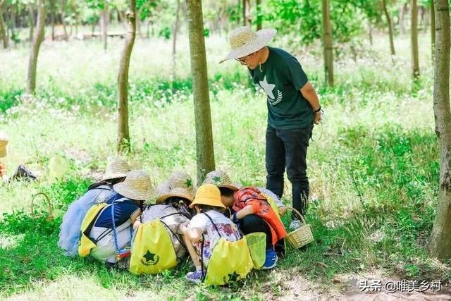 乡村产业发展,如何有效利用“四荒地”?5大创意玩法值得借鉴