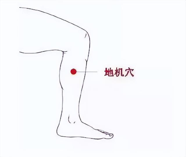 祛斑的开关——地机、血海