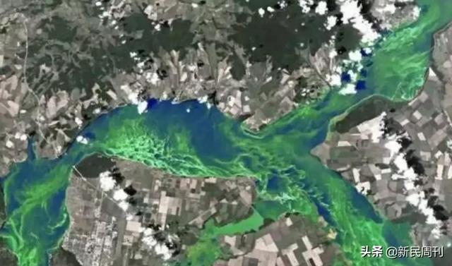 未知世界 日本近海大量鱼类神秘死亡 全网搜