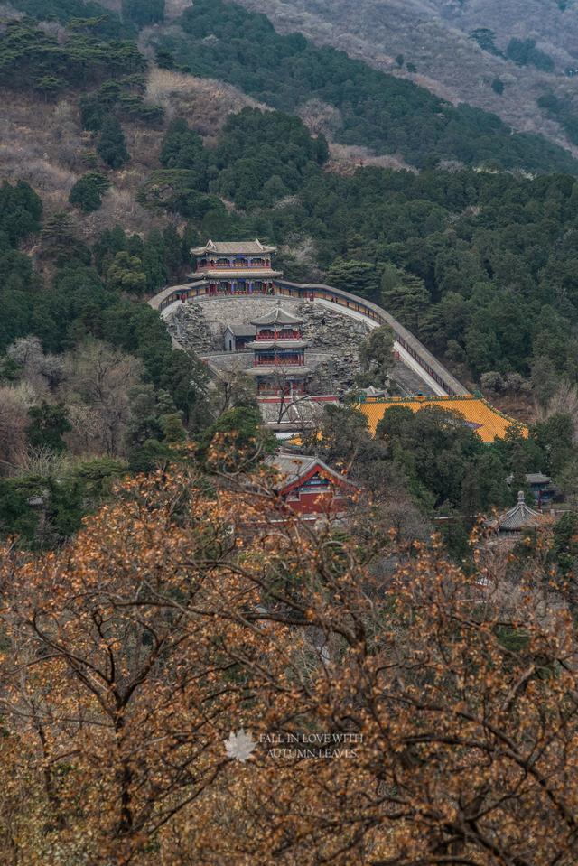 我與香山之緣