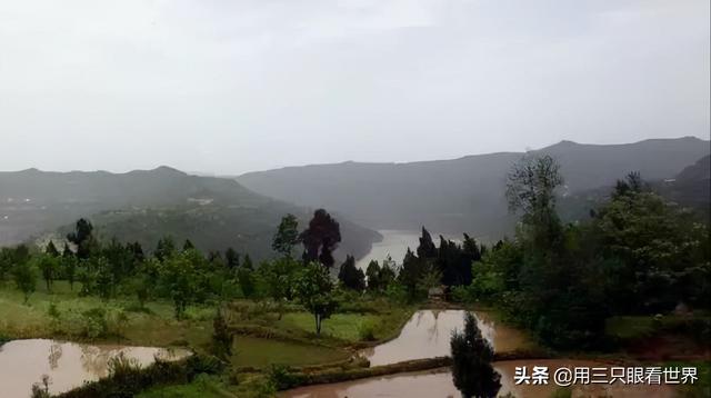 纤夫的意思