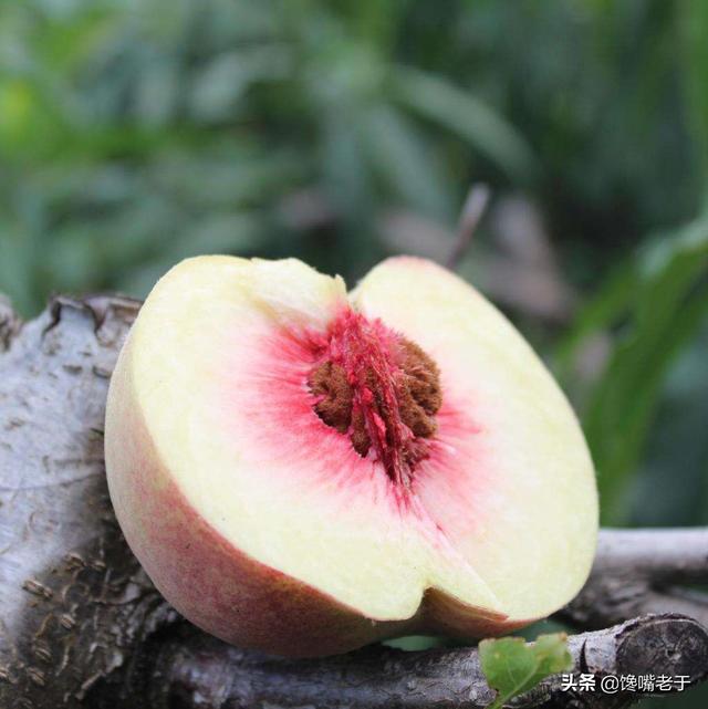 人到中老年：若条件允许，建议常吃这5种食物，比吃保健品强多了