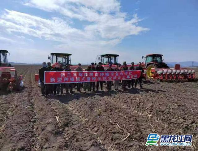 采用大垄密植技术｜依兰县较去年提早5日播种玉米大田