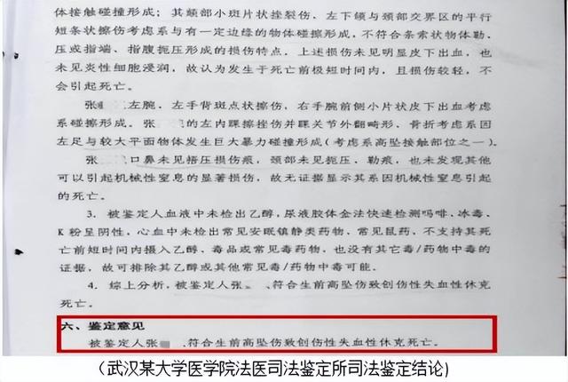 南阳通报二中学生坠亡事件：排除刑事案件，生前遭遇校园欺凌不实