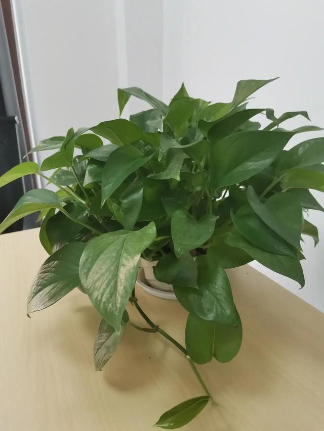 抱怨没有用，一切靠自己