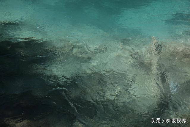 九寨溝之蘆葦海