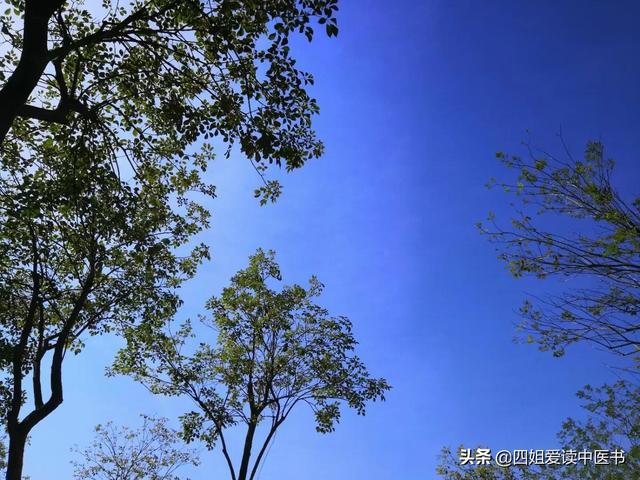 中医知识每日一读：伤寒总病论：发汗吐下后杂病证