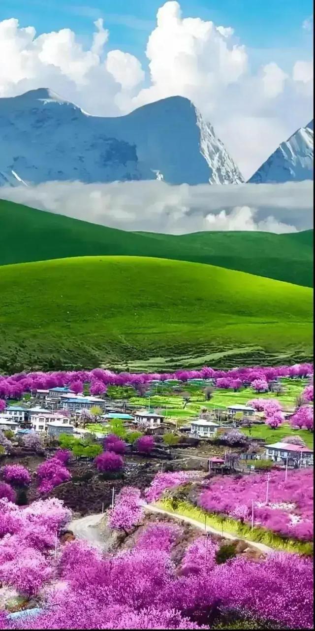 美丽的乡村