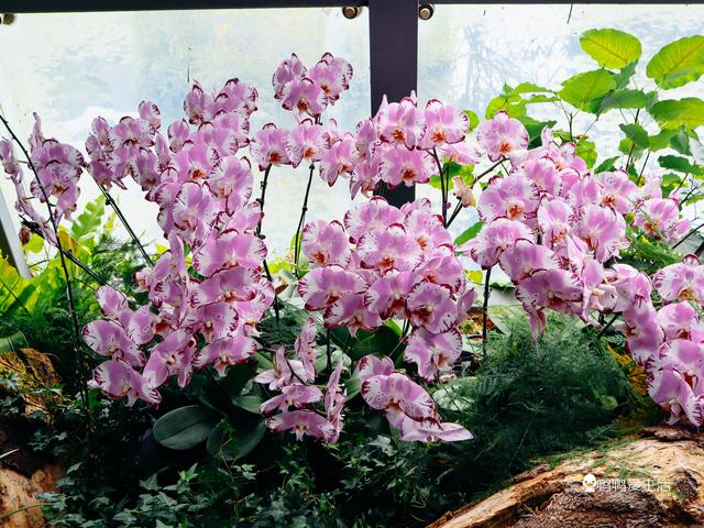 2019厦门机械展在几号