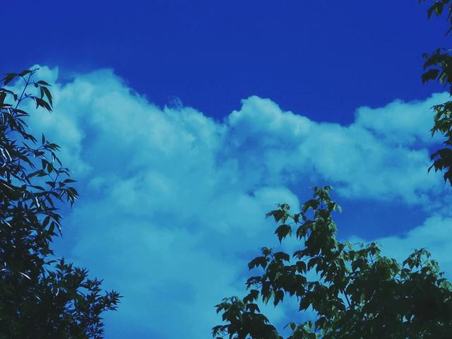 手机拍照角度怎么拍照好看(用手机拍照的技巧和角度)