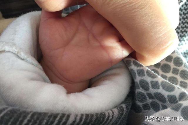 断掌是什么意思(断掌的男人的命好不好) 资讯 第8张