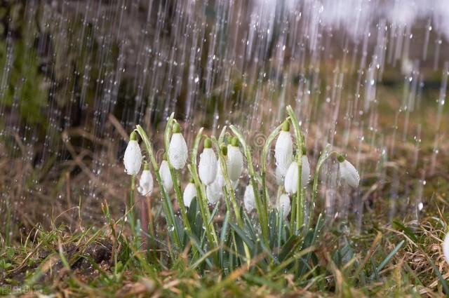 今日四月初二，老话“不怕初一晴，就怕初二雨”，有啥说法？