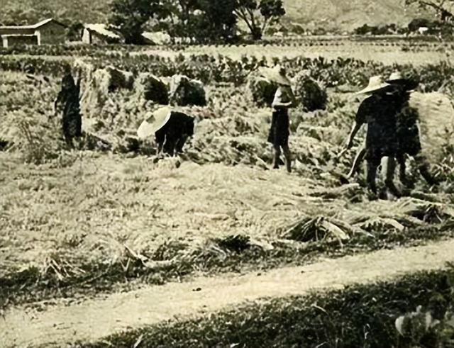 1960年，一农村老汉来到中南海门口，问警卫员：“老朱”在吗？